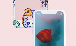 Influancers on Instagram revenuer